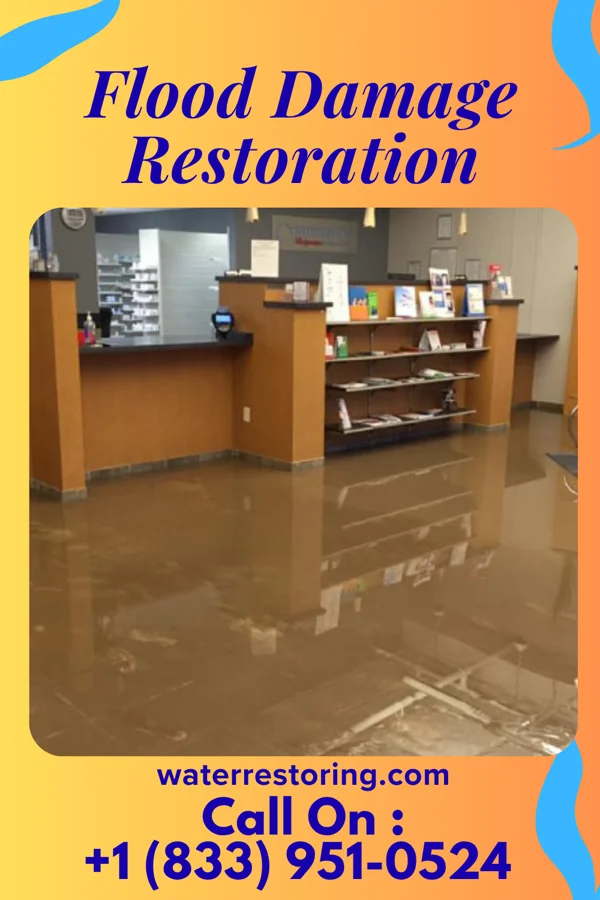 Flood Damage Restoration in Spring Valley, MN