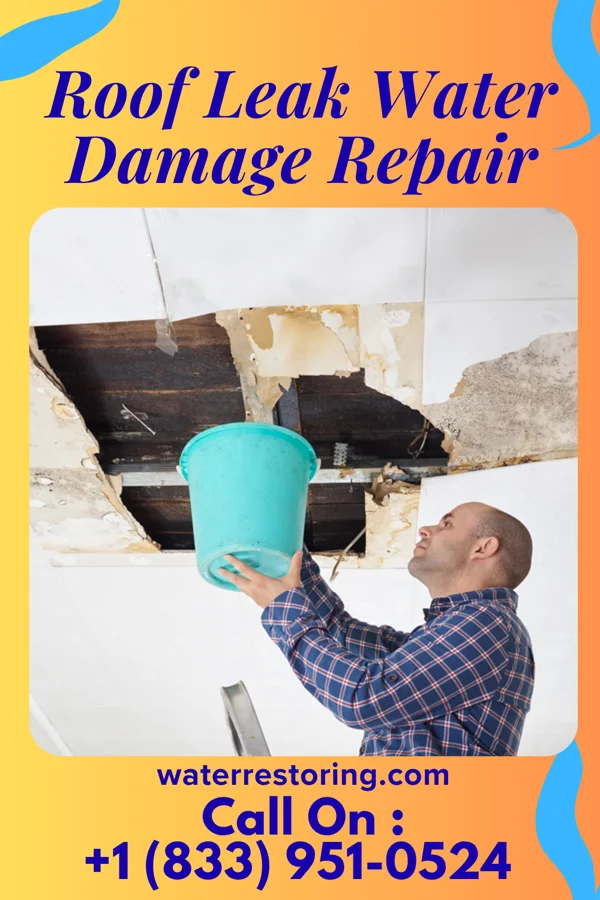 Roof Leak Water Damage Repair in Spring Valley, MN