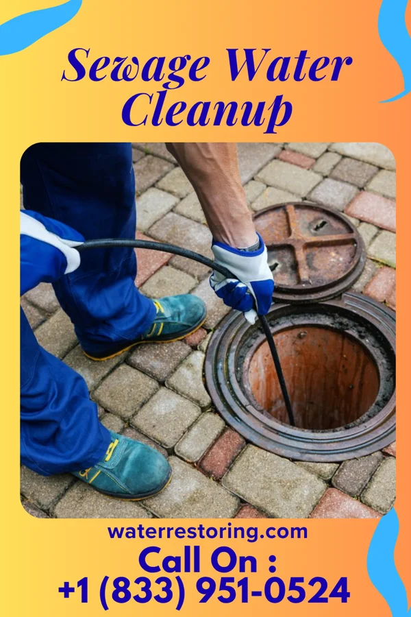 Sewage Water Cleanup in Spring Valley, MN